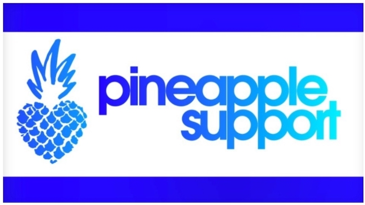 Upcoming Pineapple Support Webinar on Burnout | Cam101